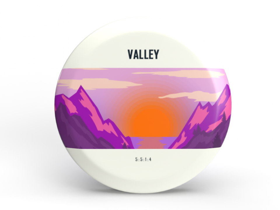 Valley Disc Golf Game On